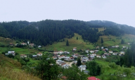 Кожари