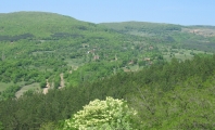 Дренково