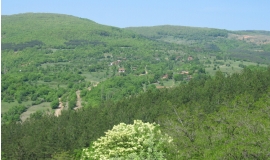 Дренково