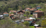 Кашина
