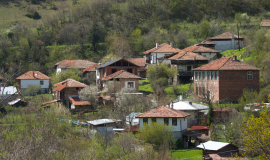 Кашина