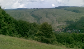 Губеш