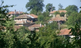 Черничево