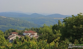 Геша