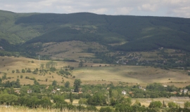 Жиленци