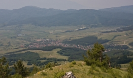 Ярлово