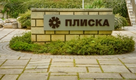 Плиска