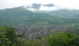 Берковица