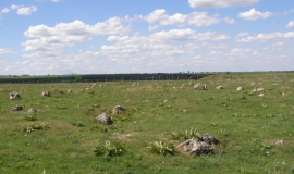 Грамада