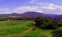 Върбица