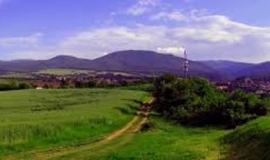 Върбица