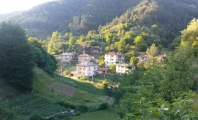 Горна Рибница