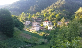 Горна Рибница