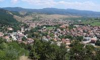 Белица