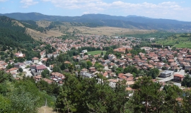 Белица