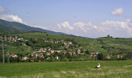 Железница (София-град)