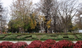 Белене