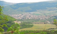 Дебелец
