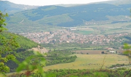 Дебелец