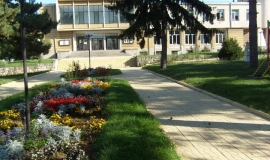 Борово