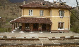 Долене