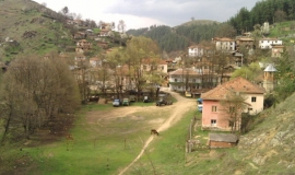 Добри лаки
