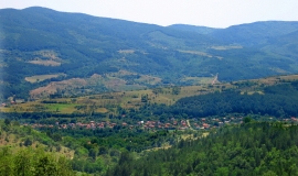 Ваксево