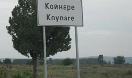 Койнаре