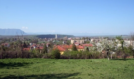 Криводол