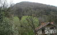 Летница