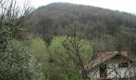 Летница