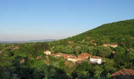 Горна Вереница