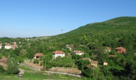 Долна Вереница
