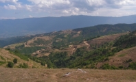 Беласица