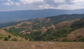 Беласица