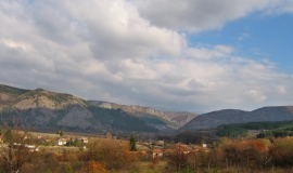 Калотина