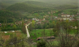 Гугутка