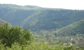 Беренде (Област София)