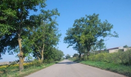 Крумово (Област Варна)