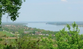 Ново село (Област Видин)