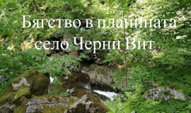 Черни Вит