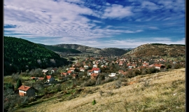 Боснек