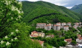 Нареченски бани