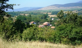 Гигинци