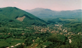 Бяла