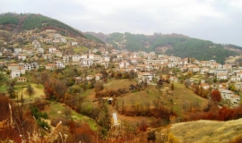 Буково (Област Пловдив)