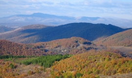 Долно Ново село (Област София) 