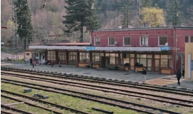 Кръстец