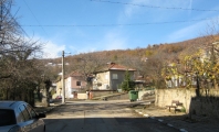 Камена
