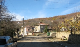 Камена